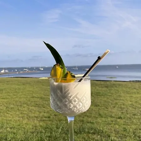Apartment Au Coeur Du Bassin D'arcachon,tres Bel Avec Terrasse Audenge
