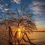 6 Personnes Avec Grande Terrasse Plein Sud Climatise Bassin D'arcachon *