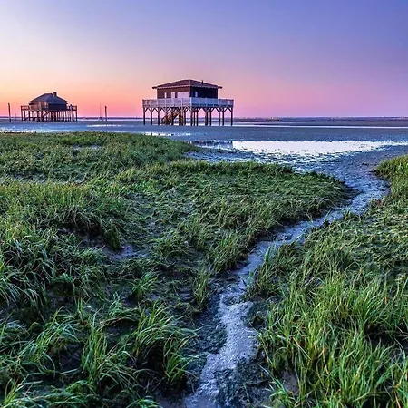 6 Personnes Avec Grande Terrasse Plein Sud Climatise Bassin D'arcachon *