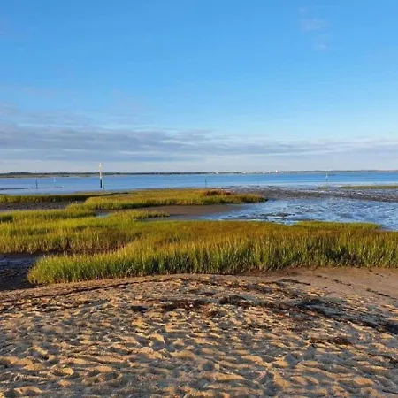 Lejlighed 6 Personnes Avec Grande Terrasse Plein Sud Climatise Bassin D'arcachon