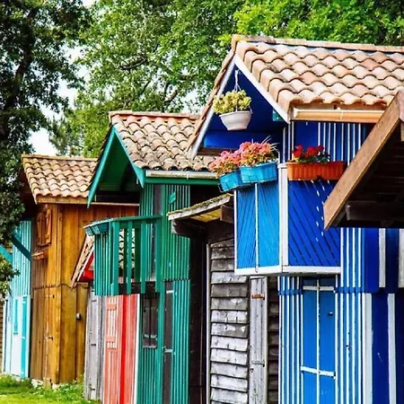 6 Personnes Avec Grande Terrasse Plein Sud Climatise Bassin D'arcachon