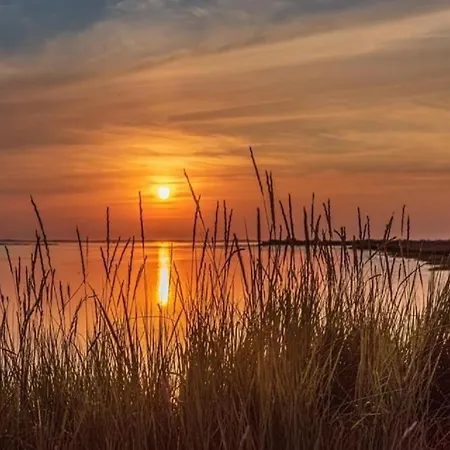 Lejlighed 6 Personnes Avec Grande Terrasse Plein Sud Climatise Bassin D'arcachon *