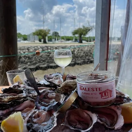 6 Personnes Avec Grande Terrasse Plein Sud Climatise Bassin D'arcachon Lejlighed *