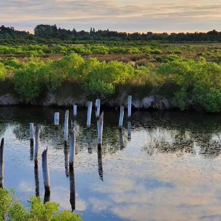 6 Personnes Avec Grande Terrasse Plein Sud Climatise Bassin D'arcachon * Audenge
